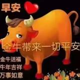 小邹同志6头像