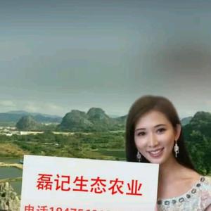 磊记生态甲鱼头像
