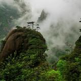 July1196头像