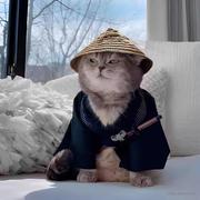 XY93的个人资料头像