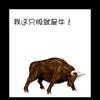 用户6303424050501头像