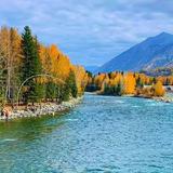 随缘9236875050468头像