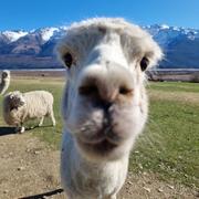 Wu860的个人资料头像