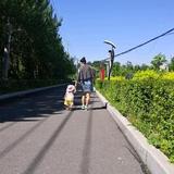 雯桐头像