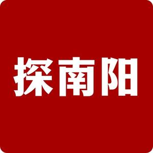 tan探南阳头像