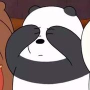 xieyhn的个人资料头像