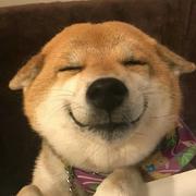 ubiquitous968的个人资料头像