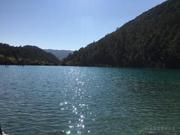 cq_fisher的个人资料头像