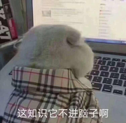 EVAI的个人资料头像