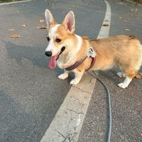 引力痕迹头像