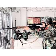 爱笑883的个人资料头像