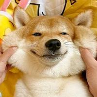 唯独无敌小勇士头像