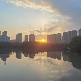 马扎229头像