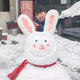 两宝妈妈volg头像