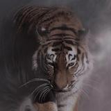 勤-Man-杰西头像