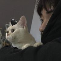 猫先笙i头像
