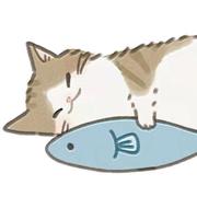 小肥狗的个人资料头像