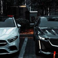 蕾子饲养员头像