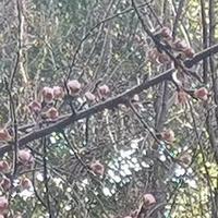 高山流水333333头像