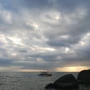 CodingWang的个人资料头像