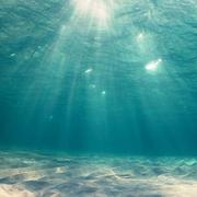 觱篥的个人资料头像