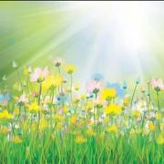 LH522的个人资料头像