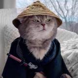 茶栗子头像