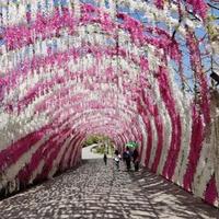 超级无敌星星闪瞎你头像