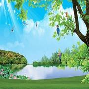 silent181的个人资料头像