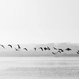 烟台万联名车头像