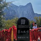 101955头像