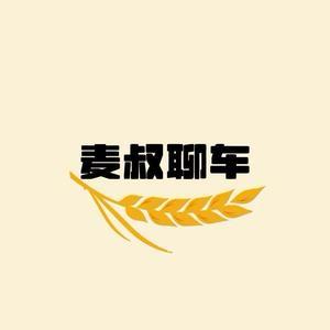 麦叔聊車头像