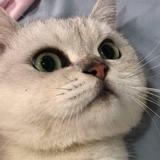 我头像