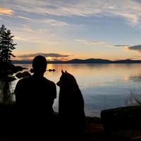 会让你上瘾头像