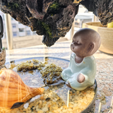 王清优选头像
