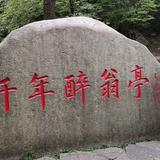 生如夏花4192头像