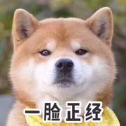 对方正在输入51的个人资料头像