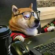 空城里的往日时光的个人资料头像