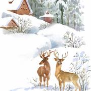 大宝的宝的个人资料头像