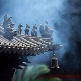 懂小丢头像