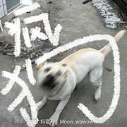 一般813的个人资料头像