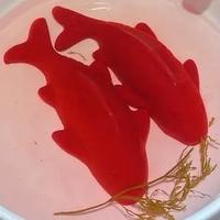 蛋蛋Daniel头像