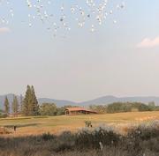 某角落的IT打杂工的个人资料头像