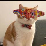 七喜阔落疯达头像