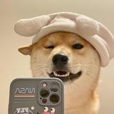 用户4249125451690头像