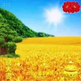 刘彦霆320头像
