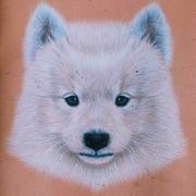 PM096082JT的个人资料头像