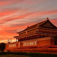 博学多才的深海咸带鱼头像