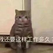 阿白2517的个人资料头像