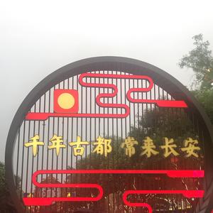 暖杨杨头像